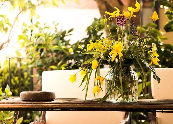 L'aromatario Bed & Breakfast Neive